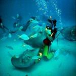 George Town (Grand Cayman)