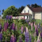 Charlottetown (Prince Edward Island, Canada)