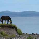 St. Pierre & Miquelon (France)